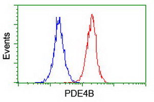 m02228 anti pde4 pde4b mouse monoclonal antibody clone id oti1d12 flow cytometry testing 12