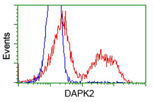 m02241 anti dap kinase 2 dapk2 mouse monoclonal antibody clone id oti1c5 flow cytometry testing 11
