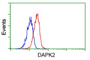 m02241 anti dap kinase 2 dapk2 mouse monoclonal antibody clone id oti1c5 flow cytometry testing 12
