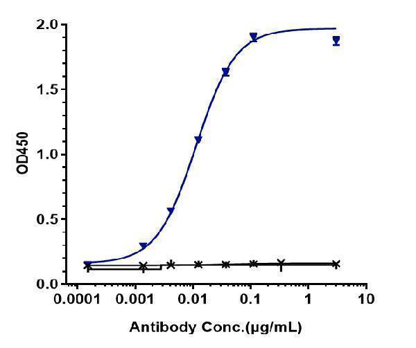 Immobilized human FRa His at 2 &mug/mL can bind Anti-FOLR1/FRA Reference Antibody (mirvetuximab)