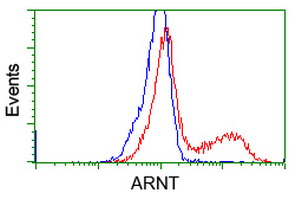 m02263 2 anti hif1 beta arnt mouse monoclonal antibody clone id oti1a1 flow cytometry testing 12