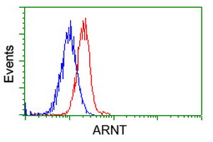 m02263 2 anti hif1 beta arnt mouse monoclonal antibody clone id oti1a1 flow cytometry testing 13