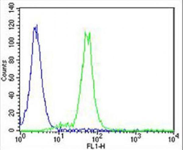 m02268 anti adora2a antibody c term fc testing 3