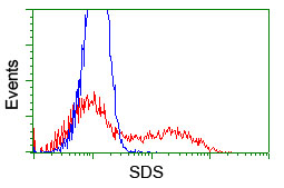 m02273 1 anti sds mouse monoclonal antibody clone id oti2c11 flow cytometry testing 5