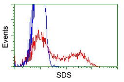 m02273 anti sds mouse monoclonal antibody clone id oti3d3 flow cytometry testing 4