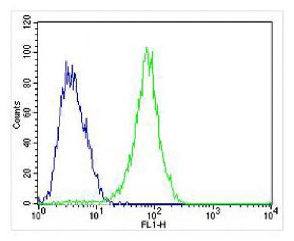 m02274 anti fgf9 antibody fc testing 4