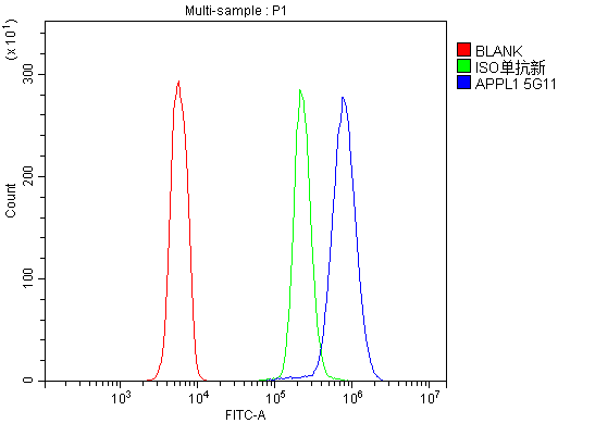 m02381 appl1 primary antibodies fcm testing 5