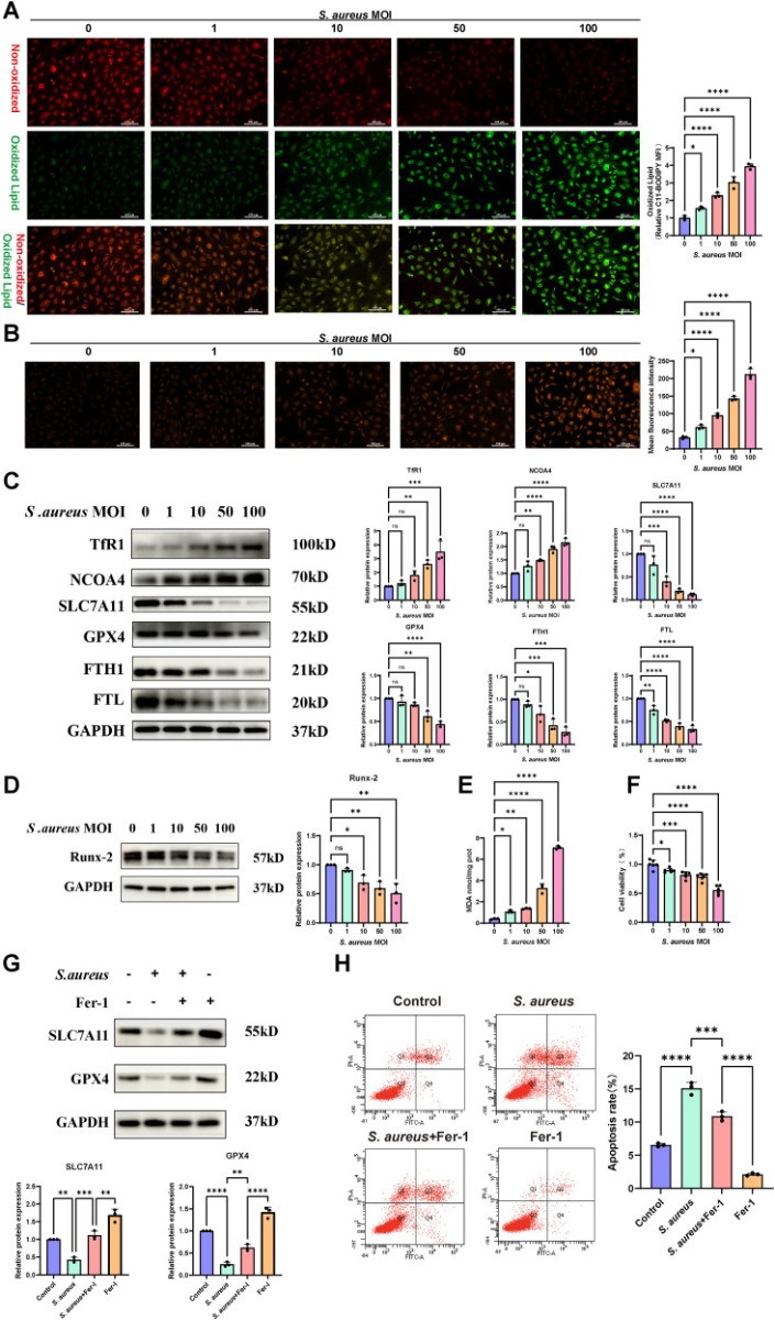m02401 publication fimmu 17 1760434 g002