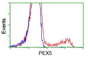 HEK293T cells transfected with either PEX5 (Myc-DDK-tagged) overexpress plasmid (Red) or empty vector control plasmid (Blue) were immunostained by anti-PEX5 antibody (M02406)