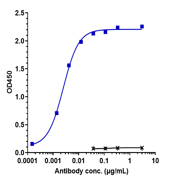 Immobilized human CDCP1 His at 2 &mug/mL can bind Anti-CDCP1/CD318 Reference Antibody (38 E11)