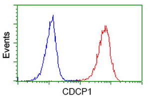 Flow cytometric Analysis of Jurkat cells