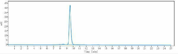 The purity of Anti-TNFSF13/APRIL/CD256 Reference Antibody (BION-1301)is more than 95%