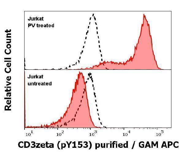  Anti-Hu CD3 zeta (pY153) purified antibody (clone EM-17) works in Flow Cytometry application



Analysis of the antibody staining was performed on Jurkat cells treated or untreated with pervanadate (PV) prior to the fixation and permeabilization of cell suspension with cold methanol