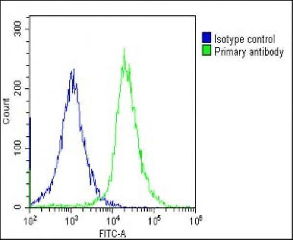 m02424 1 anti cyclophilin d antibody fc testing 4