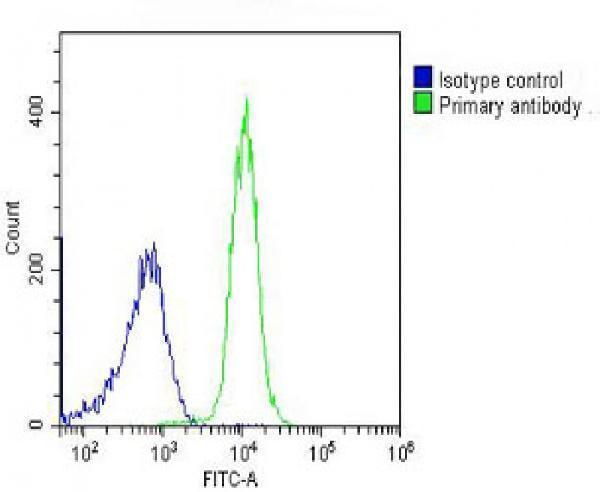 m02424 1 anti cyclophilin d antibody fc testing 5