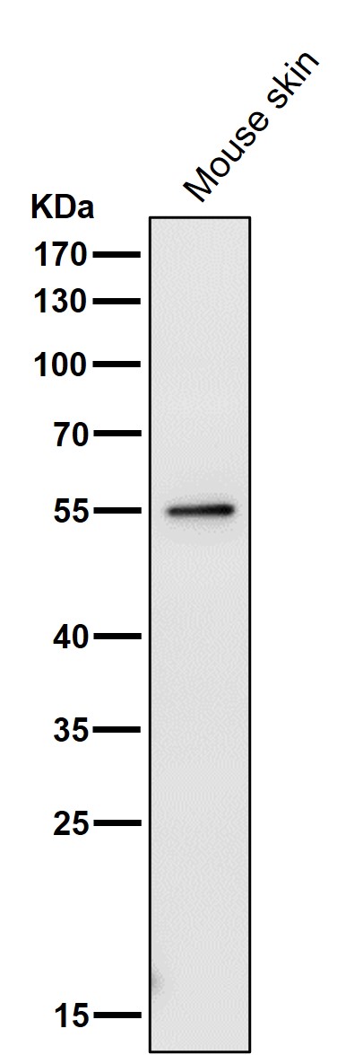 m02434 wb7