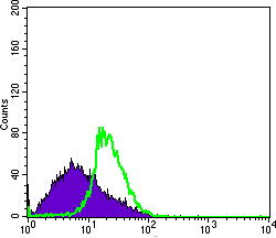 m02448 ddx4 primary antibodies fcm testing 1