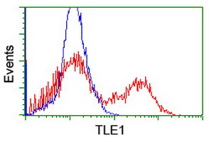 m02460 1 anti tle 1 tle1 mouse monoclonal antibody clone id oti1h2 flow cytometry testing 21