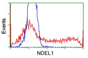 HEK293T cells transfected with either NDEL1 (Myc-DDK-tagged) overexpress plasmid (Red) or empty vector control plasmid (Blue) were immunostained by anti-NDEL1 antibody (M02478-1)