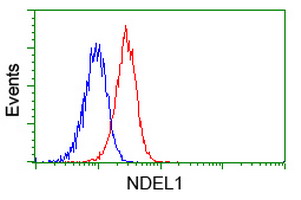 m02478 1 anti nudel ndel1 mouse monoclonal antibody clone id oti1g10 flow cytometry testing 4