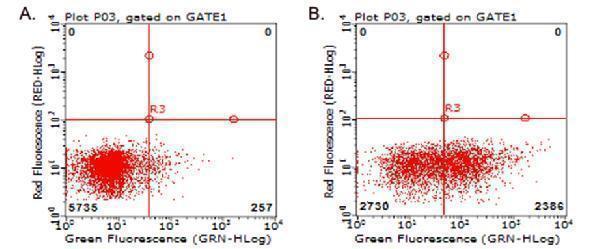 Flow cytometric analysis of living PBMCs treated with 10ug/ml PHA for 72h (Right)/untreated (Left) using anti-TNFRSF4 antibody (M02495-2) (1:100)