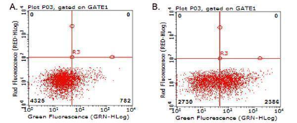 Flow cytometric analysis of living PBMCs treated with 10ug/ml PHA for 72h (Right) using anti-TNFRSF4 antibody (M02495-2)