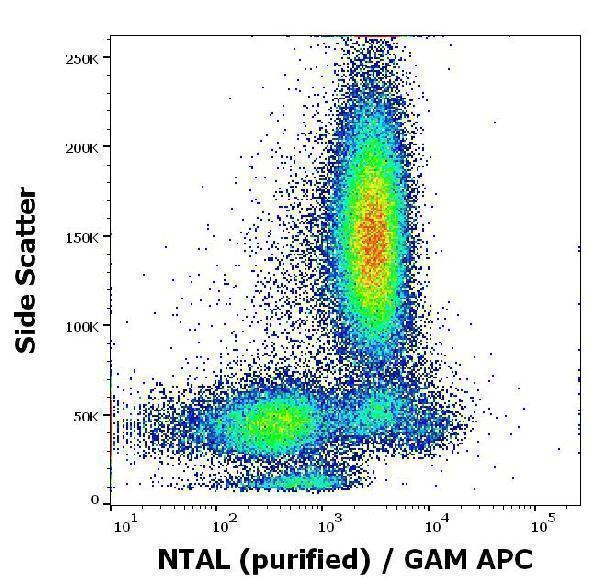 m02496 1 ntal primary antibodies fc testing 3