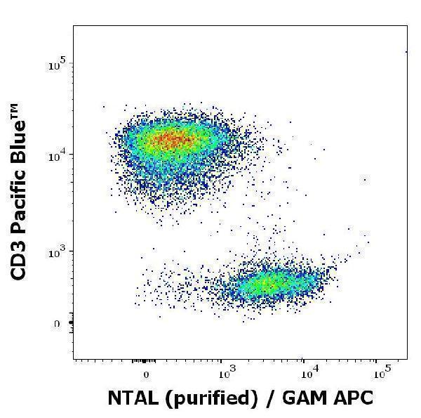 m02496 1 ntal primary antibodies fc testing 5