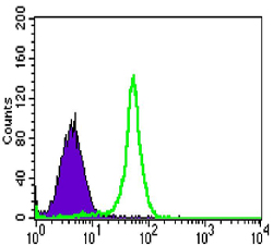 Flow cytometric analysis of HL-60 cells using TAB2 Monoclonal Antibody (green) and negative control (purple)
