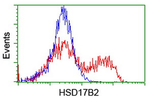 HEK293T cells transfected with either HSD17B2 (Myc-DDK-tagged) overexpress plasmid (Red) or empty vector control plasmid (Blue) were immunostained by anti-HSD17B2 antibody (M02506)