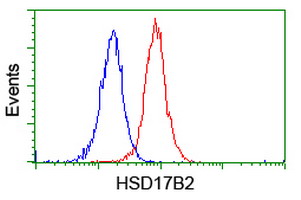m02506 anti hsd17b2 mouse monoclonal antibody clone id oti3e9 flow cytometry testing 4