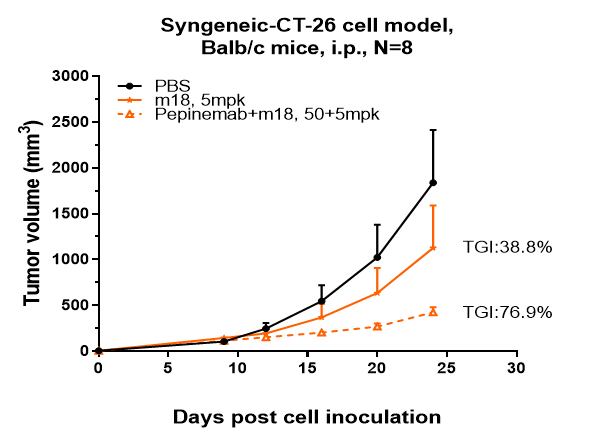 m02512 2 syngeneic ct 26 cell model