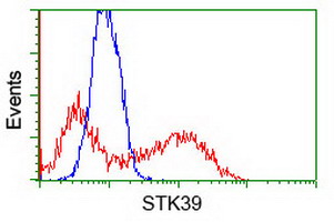 m02516 anti stk39 mouse monoclonal antibody clone id oti4e3 flow cytometry testing 7