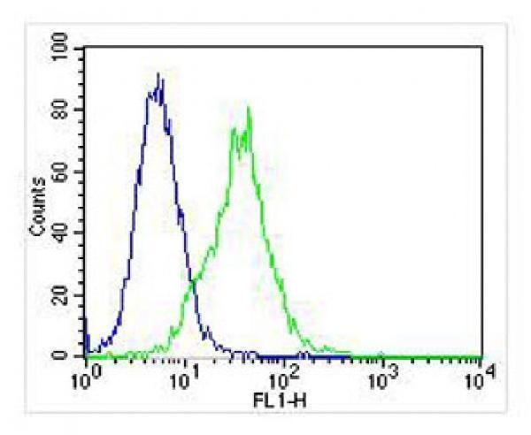 m02557 anti hint1 antibody fc testing 4