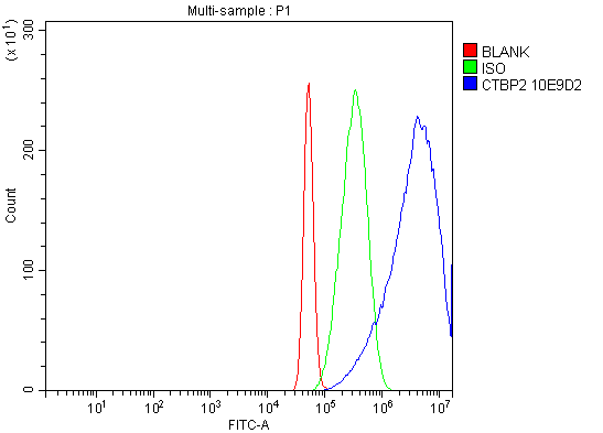 m02567 1 ctbp2 primary antibodies fcm testing 6