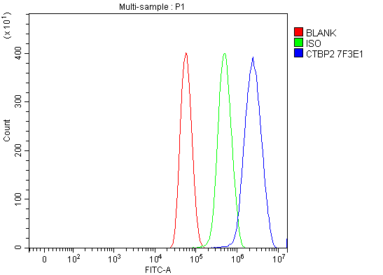 m02567 3 ctbp2 primary antibodies fcm testing 9