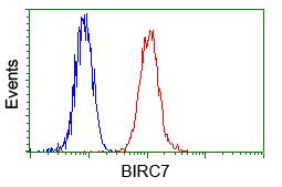 Flow cytometric analysis of Hela cells