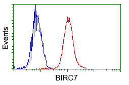 Flow cytometric analysis of Jurkat cells