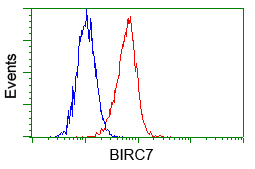 m02577 anti livin birc7 mouse monoclonal antibody clone id oti1d12 flow cytometry testing 5