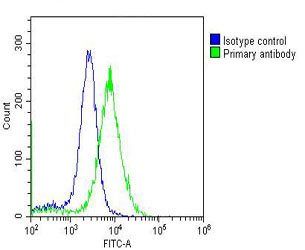 Overlay histogram showing Hela cells stained with M02580-1 (green line)