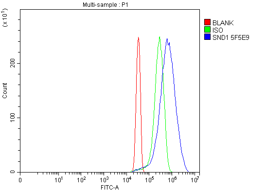 m02602 1 snd1 primary antibodies fcm testing 9