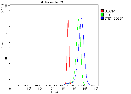 m02602 2 snd1 primary antibodies fcm testing 10