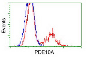 HEK293T cells transfected with either PDE10A (Myc-DDK-tagged) overexpress plasmid (Red) or empty vector control plasmid (Blue) were immunostained by anti-PDE10A antibody (M02605-1)