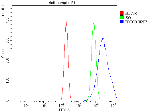 m02659 1 pde6b primary antibodies fcm testing 4