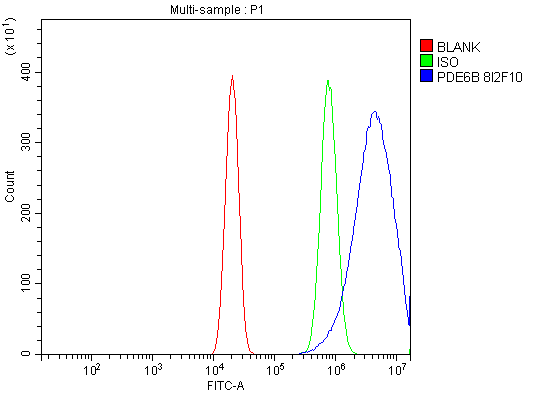 m02659 pde6b primary antibodies fcm testing 4_1