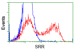 m02660 anti serine racemase srr mouse monoclonal antibody clone id oti2e3 flow cytometry testing 11