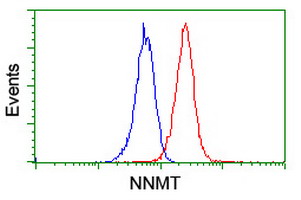 m02676 anti nnmt mouse monoclonal antibody clone id oti3d8 flow cytometry testing 11