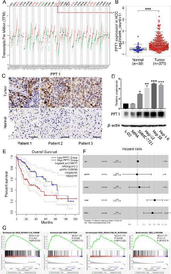 m02690 12935_2022_2508_fig1_html