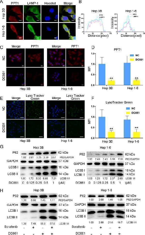 m02690 12935_2022_2508_fig3_html