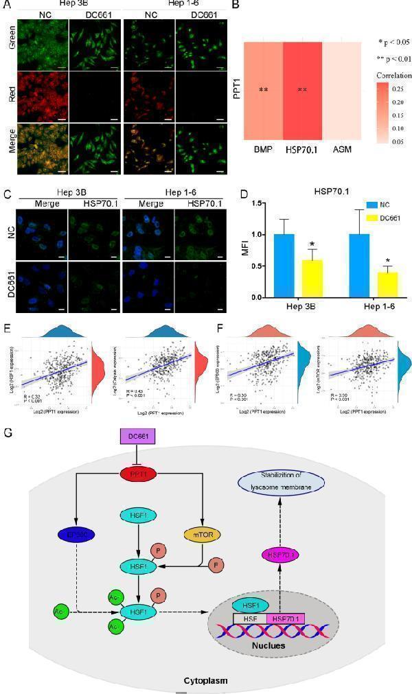 m02690 12935_2022_2508_fig4_html